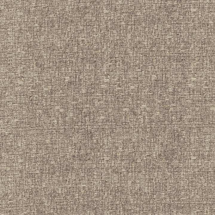 Blake Silverberry by Kasmir Fabric 5130 87% Polyester
13% Cotton
 INDIA </p><p>Repeat: Horizontal: N/A and Vertical: N/A 54 - Fabric Carolina -