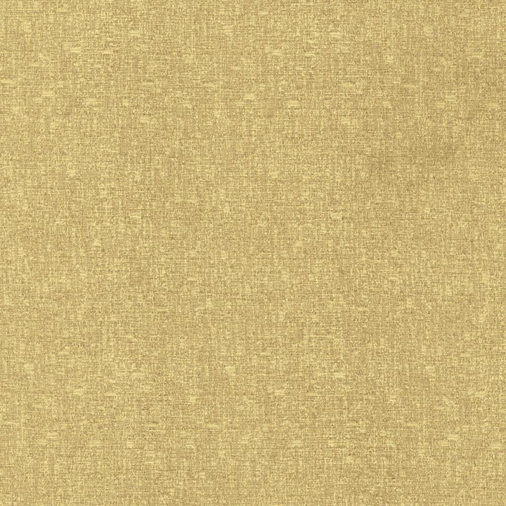 Blake Toast by Kasmir Fabric 5130 87% Polyester
13% Cotton
 INDIA </p><p>Repeat: Horizontal: N/A and Vertical: N/A 54 - Fabric Carolina -