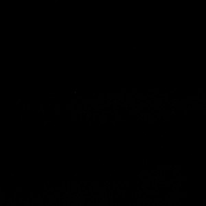 Bliss Black by Europatex Fabric