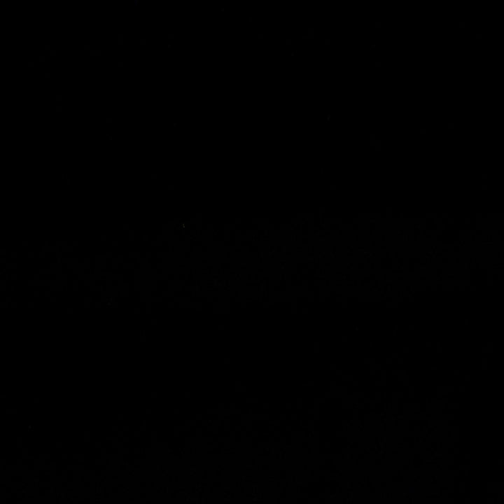 Bliss Black by Europatex Fabric Bliss 100% Polyester 0.00" 110.00 inches - Fabric Carolina -