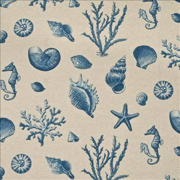 Bluewater Beach Blue Sand by Kasmir Fabric 1368 100% Cotton USA 15,000 Wyzenbeek Double Rubs H: 54 inches, V: 27 inches 54 - Fabric Carolina - Kasmir