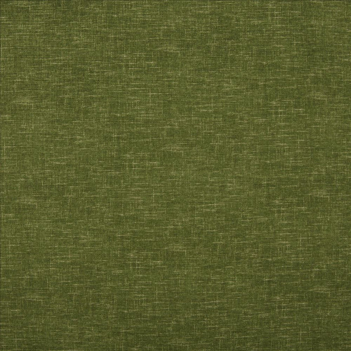 Bluffhaven Green by Kasmir Fabric 5180 100% Polyester
 CHINA 100,000 Wyzenbeek Double Rubs </p><p>Repeat: Horizontal: N/A and Vertical: N/A 54 - Fabric Carolina -