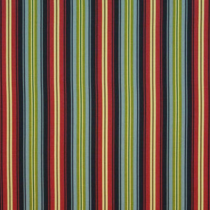 Bluffview Stripe Amazon by Kasmir Fabric