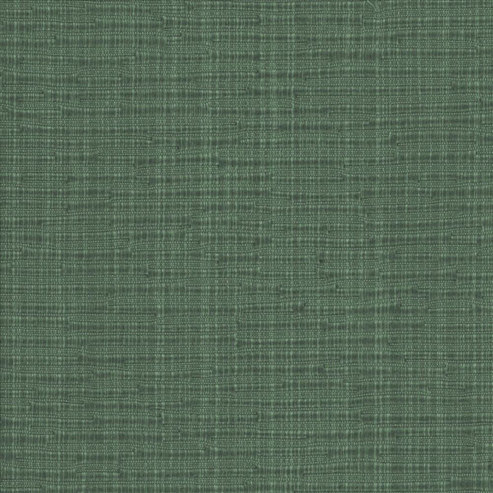 Blurred Lines Basil by Kasmir Fabric 5099 100% Polyester
 CHINA Not Tested Horizontal: N/A and Vertical: N/A 56 - Fabric Carolina -
