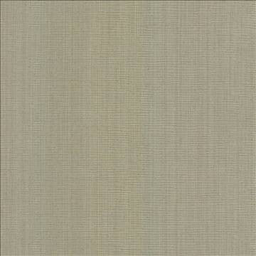 Blurred Lines Flax by Kasmir Fabric 5100 100% Polyester CHINA Not Tested H: N/A, V: N/A 56 - 57 - Fabric Carolina - Kasmir