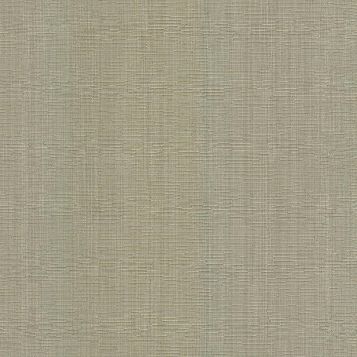 Blurred Lines Flax by Kasmir Fabric 5100 100% Polyester CHINA Not Tested H: N/A, V:N/A 56 - 57 - Fabric Carolina - Kasmir