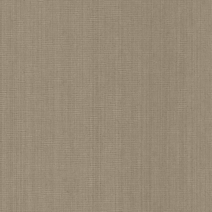 Blurred Lines Latte by Kasmir Fabric 5092 100% Polyester CHINA Not Tested H: N/A, V:N/A 56 - 57 - Fabric Carolina - Kasmir