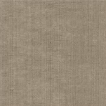 Blurred Lines Latte by Kasmir Fabric 5092 100% Polyester CHINA Not Tested H: N/A, V: N/A 56 - 57 - Fabric Carolina - Kasmir