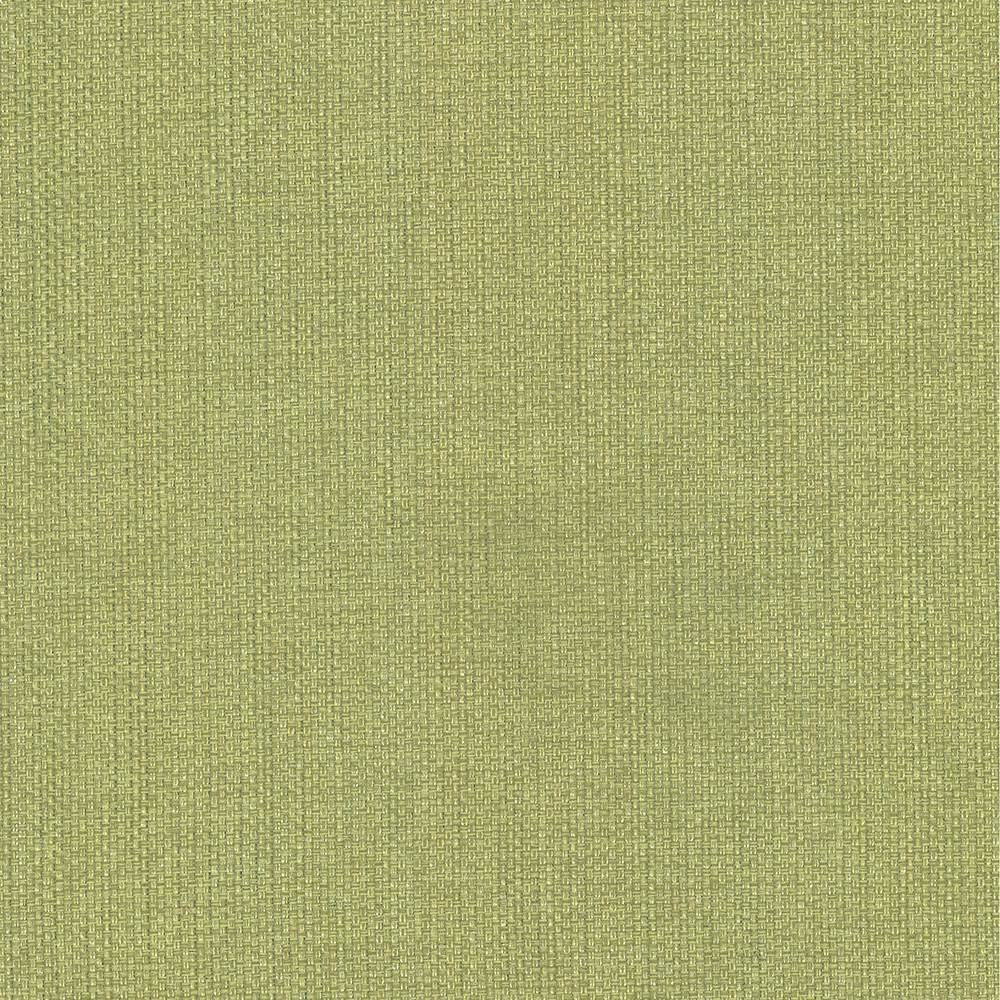 Bolsa Avocado by Kasmir Fabric 5053 57% Cotton 43% Polyester TURKEY 87,000 Wyzenbeek Double Rubs Horizontal: 0 Inches and Vertical: 0 Inches 55 - Fabric Carolina -