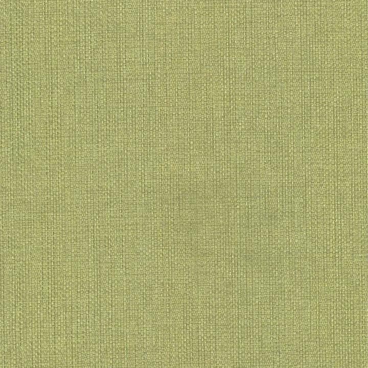 Bolsa Avocado by Kasmir Fabric 5053 57% Cotton 43% Polyester TURKEY 87,000 Wyzenbeek Double Rubs Horizontal: 0 Inches and Vertical: 0 Inches 55 - Fabric Carolina -