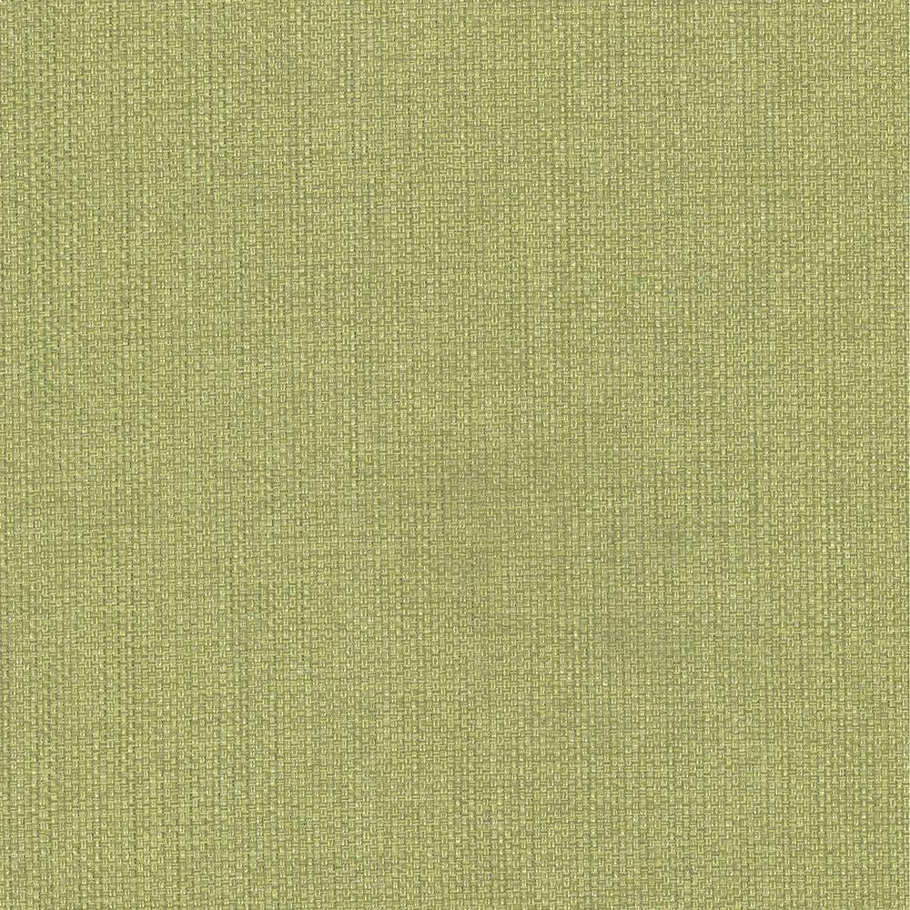 Bolsa Avocado by Kasmir Fabric 5053 57% Cotton 43% Polyester TURKEY 87,000 Wyzenbeek Double Rubs H: N/A, V:N/A 55 - Fabric Carolina - Kasmir