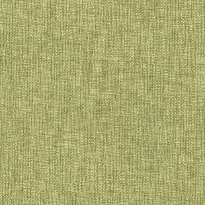 Bolsa Avocado by Kasmir Fabric 5053 57% Cotton 43% Polyester TURKEY 87,000 Wyzenbeek Double Rubs H: N/A, V:N/A 55 - Fabric Carolina - Kasmir