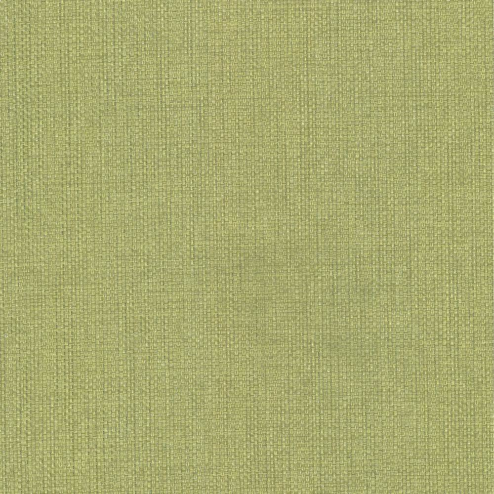 Bolsa Avocado by Kasmir Fabric 5053 57% Cotton
43% Polyester
 TURKEY </p><p>Repeat: Horizontal: N/A and Vertical: N/A 55 - Fabric Carolina -