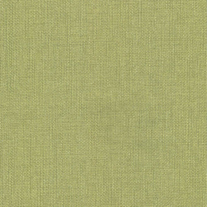 Bolsa Avocado by Kasmir Fabric 5053 57% Cotton
43% Polyester
 TURKEY </p><p>Repeat: Horizontal: N/A and Vertical: N/A 55 - Fabric Carolina -