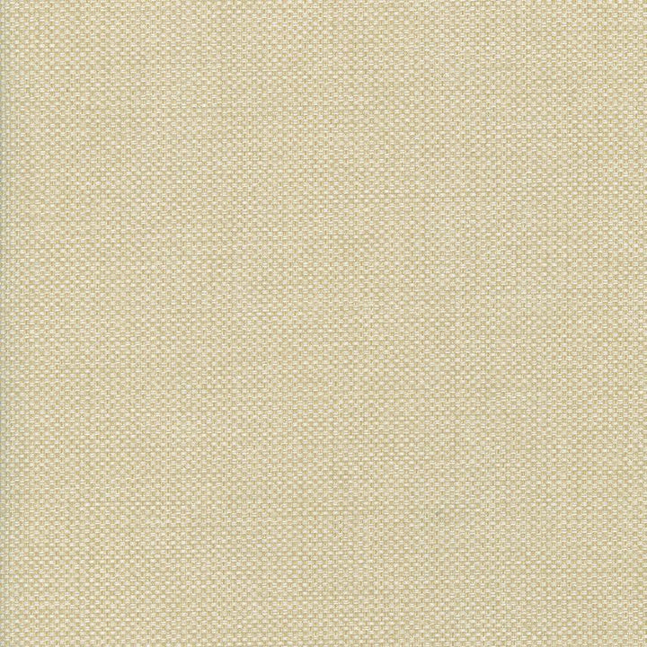 Bolsa Biscuit by Kasmir Fabric 5053 57% Cotton
43% Polyester
 TURKEY </p><p>Repeat: Horizontal: N/A and Vertical: N/A 55 - Fabric Carolina -
