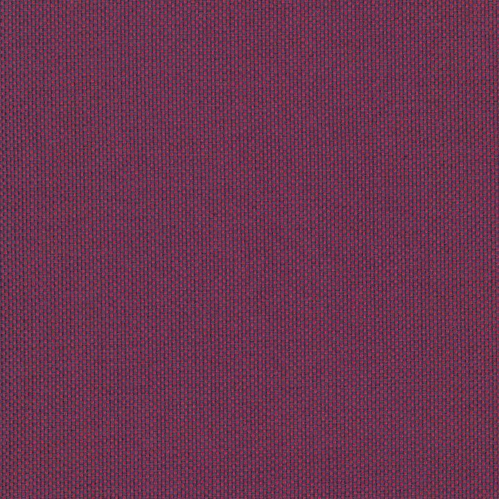 Bolsa Blossom by Kasmir Fabric 5053 57% Cotton 43% Polyester TURKEY 87,000 Wyzenbeek Double Rubs H: N/A, V:N/A 55 - Fabric Carolina - Kasmir