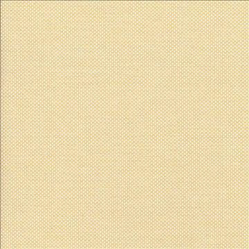 Bolsa Butter by Kasmir Fabric 5053 57% Cotton 43% Polyester TURKEY 87,000 Wyzenbeek Double Rubs H: N/A, V: N/A 55 - Fabric Carolina - Kasmir