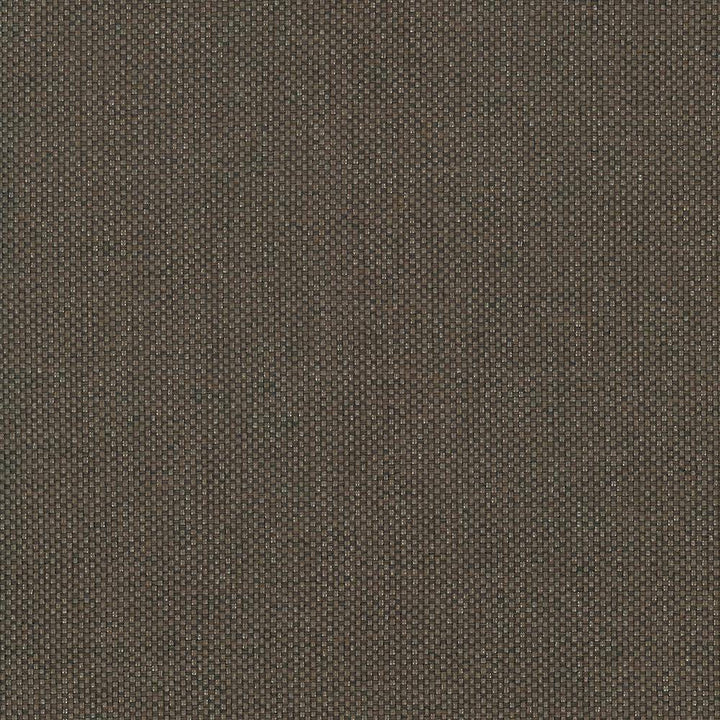 Bolsa Chocolate by Kasmir Fabric 5053 57% Cotton 43% Polyester TURKEY 87,000 Wyzenbeek Double Rubs H: N/A, V:N/A 55 - Fabric Carolina - Kasmir