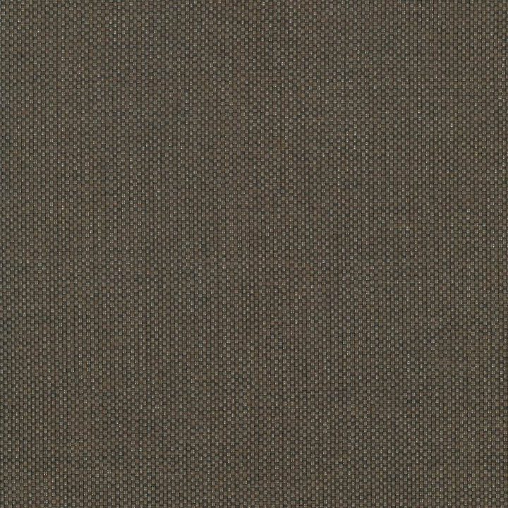 Bolsa Chocolate by Kasmir Fabric 5053 57% Cotton
43% Polyester
 TURKEY </p><p>Repeat: Horizontal: N/A and Vertical: N/A 55 - Fabric Carolina -