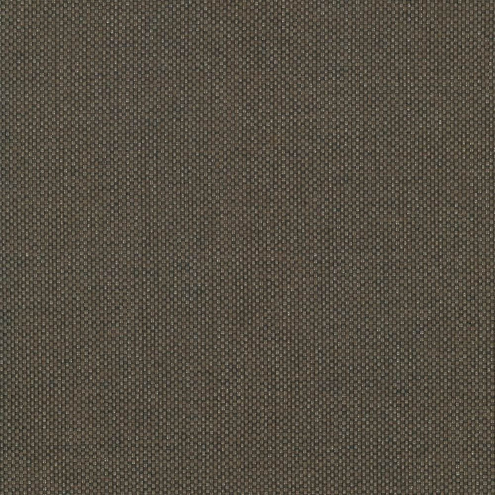 Bolsa Chocolate by Kasmir Fabric 5053 57% Cotton 43% Polyester TURKEY 87,000 Wyzenbeek Double Rubs Horizontal: 0 Inches and Vertical: 0 Inches 55 - Fabric Carolina -