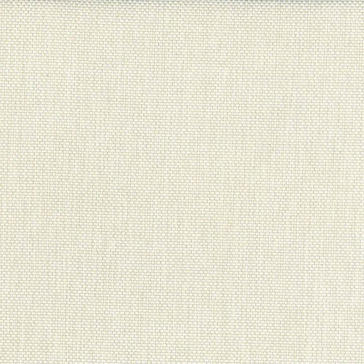 Bolsa Cream by Kasmir Fabric 5053 57% Cotton
43% Polyester
 TURKEY </p><p>Repeat: Horizontal: N/A and Vertical: N/A 55 - Fabric Carolina -