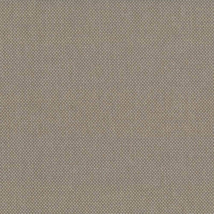 Bolsa Dune by Kasmir Fabric