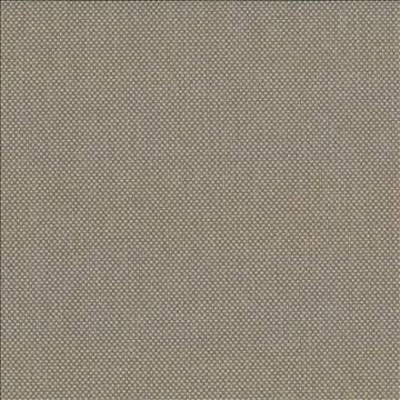 Bolsa Dune by Kasmir Fabric 5053 57% Cotton 43% Polyester TURKEY 87,000 Wyzenbeek Double Rubs H: N/A, V: N/A 55 - Fabric Carolina - Kasmir