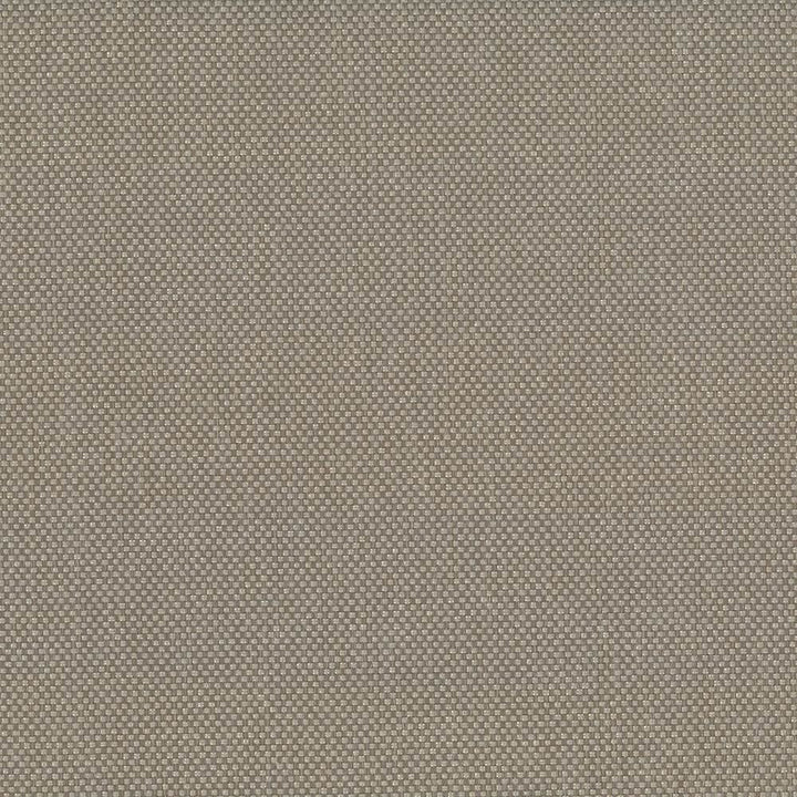 Bolsa Dune by Kasmir Fabric 5053 57% Cotton
43% Polyester
 TURKEY 87,000 Wyzenbeek Double Rubs Horizontal: N/A and Vertical: N/A 55 - Fabric Carolina -