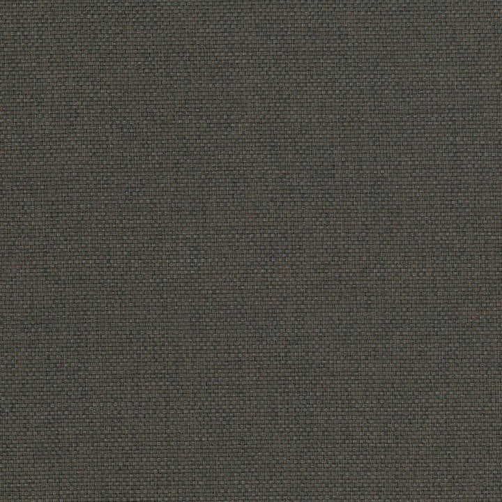 Bolsa Espresso by Kasmir Fabric 5053 57% Cotton
43% Polyester
 TURKEY </p><p>Repeat: Horizontal: N/A and Vertical: N/A 55 - Fabric Carolina -