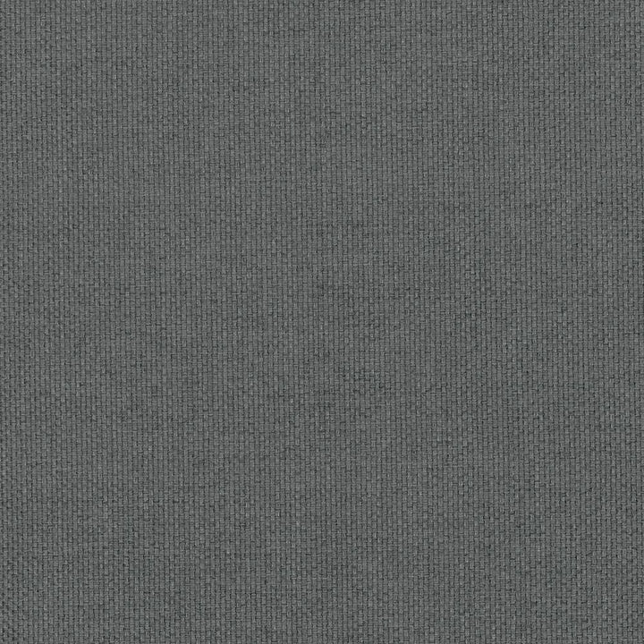 Bolsa Flint by Kasmir Fabric 5053 57% Cotton 43% Polyester TURKEY 87,000 Wyzenbeek Double Rubs H: N/A, V:N/A 55 - Fabric Carolina - Kasmir
