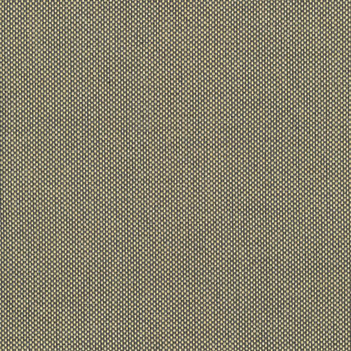 Bolsa Gold by Kasmir Fabric 5053 57% Cotton
43% Polyester
 TURKEY </p><p>Repeat: Horizontal: N/A and Vertical: N/A 55 - Fabric Carolina -