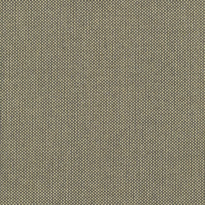 Bolsa Gold by Kasmir Fabric 5053 57% Cotton
43% Polyester
 TURKEY </p><p>Repeat: Horizontal: N/A and Vertical: N/A 55 - Fabric Carolina -