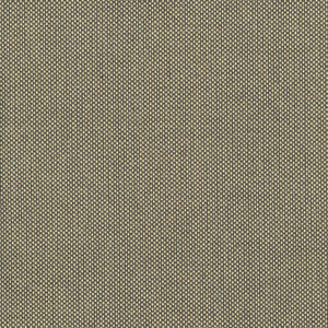 Bolsa Gold by Kasmir Fabric