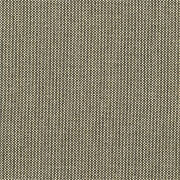 Bolsa Gold by Kasmir Fabric 5053 57% Cotton 43% Polyester TURKEY 87,000 Wyzenbeek Double Rubs H: N/A, V: N/A 55 - Fabric Carolina - Kasmir