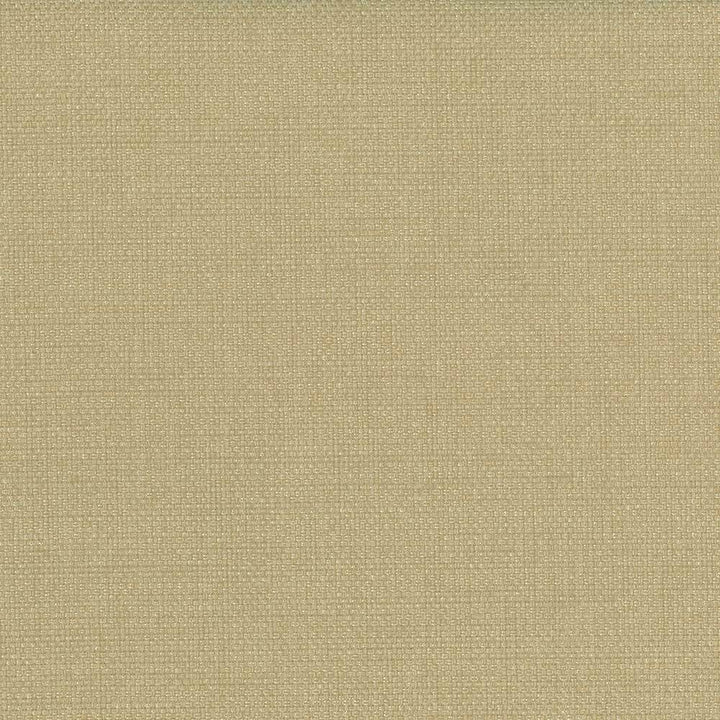 Bolsa Honey by Kasmir Fabric 5053 57% Cotton 43% Polyester TURKEY 87,000 Wyzenbeek Double Rubs H: N/A, V:N/A 55 - Fabric Carolina - Kasmir