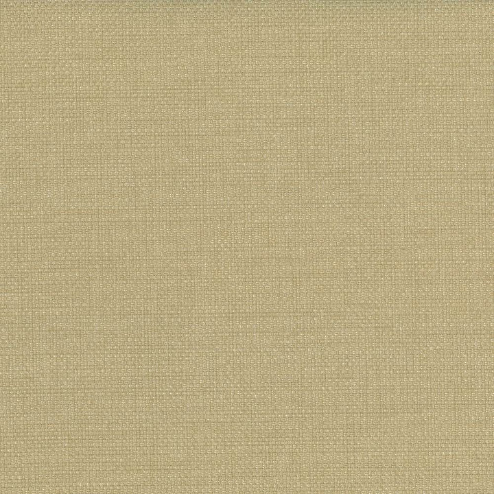 Bolsa Honey by Kasmir Fabric 5053 57% Cotton
43% Polyester
 TURKEY </p><p>Repeat: Horizontal: N/A and Vertical: N/A 55 - Fabric Carolina -