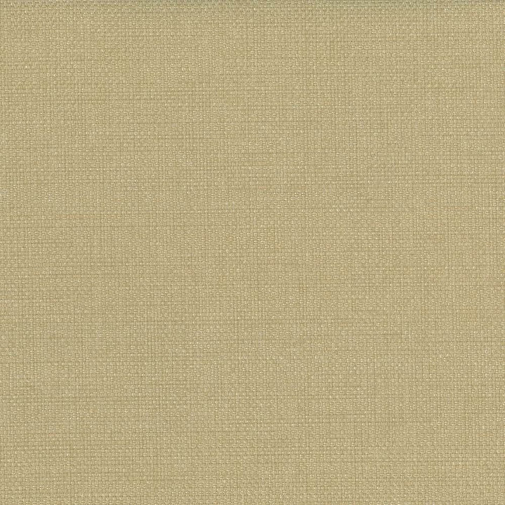 Bolsa Honey by Kasmir Fabric 5053 57% Cotton
43% Polyester
 TURKEY </p><p>Repeat: Horizontal: N/A and Vertical: N/A 55 - Fabric Carolina -