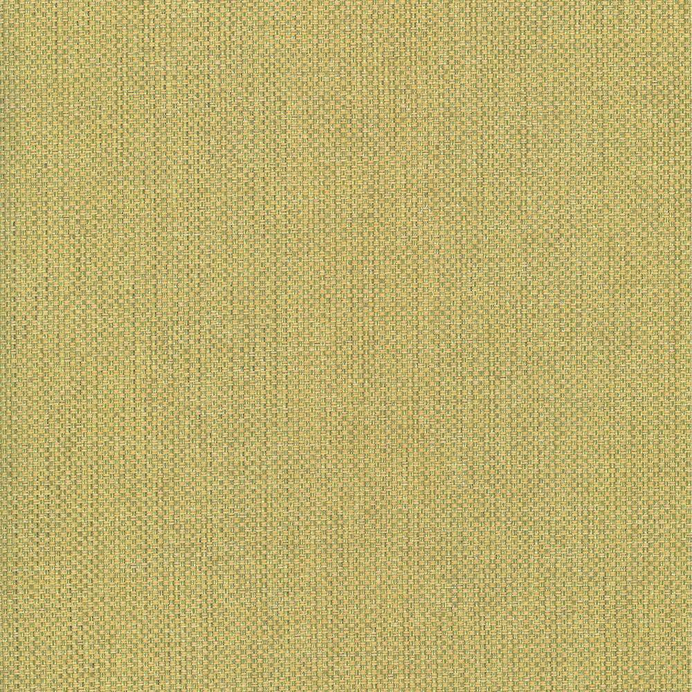 Bolsa Kiwi by Kasmir Fabric 5053 57% Cotton
43% Polyester
 TURKEY </p><p>Repeat: Horizontal: N/A and Vertical: N/A 55 - Fabric Carolina -