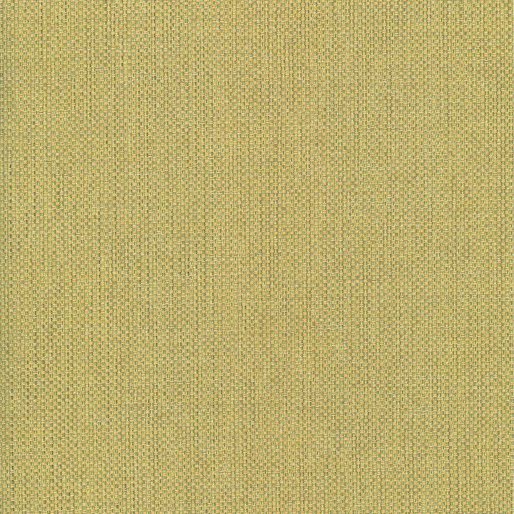 Bolsa Kiwi by Kasmir Fabric 5053 57% Cotton
43% Polyester
 TURKEY </p><p>Repeat: Horizontal: N/A and Vertical: N/A 55 - Fabric Carolina -