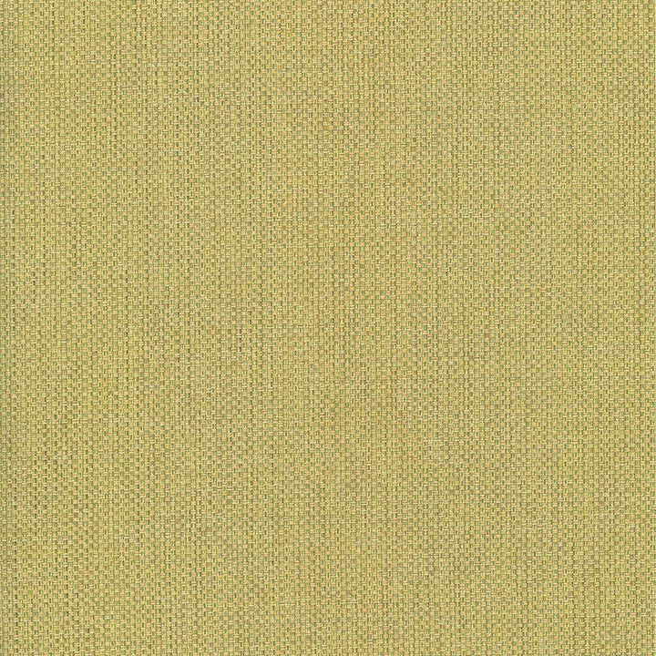 Bolsa Kiwi by Kasmir Fabric 5053 57% Cotton 43% Polyester TURKEY 87,000 Wyzenbeek Double Rubs Horizontal: 0 Inches and Vertical: 0 Inches 55 - Fabric Carolina -