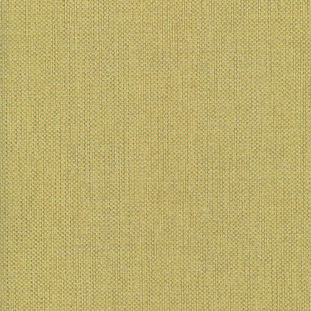 Bolsa Kiwi by Kasmir Fabric 5053 57% Cotton 43% Polyester TURKEY 87,000 Wyzenbeek Double Rubs H: N/A, V:N/A 55 - Fabric Carolina - Kasmir