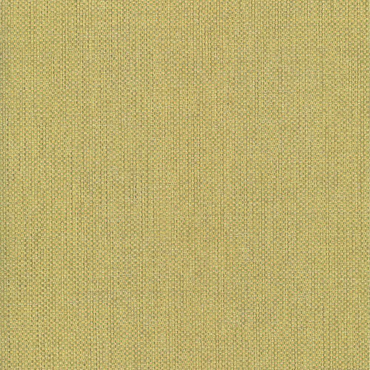 Bolsa Kiwi by Kasmir Fabric 5053 57% Cotton 43% Polyester TURKEY 87,000 Wyzenbeek Double Rubs H: N/A, V:N/A 55 - Fabric Carolina - Kasmir