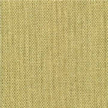 Bolsa Kiwi by Kasmir Fabric 5053 57% Cotton 43% Polyester TURKEY 87,000 Wyzenbeek Double Rubs H: N/A, V: N/A 55 - Fabric Carolina - Kasmir