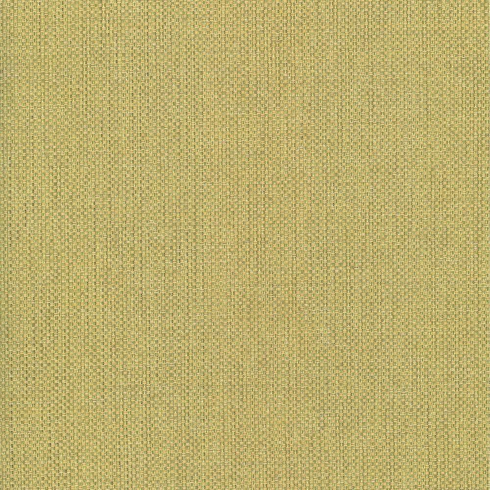 Bolsa Kiwi by Kasmir Fabric 5053 57% Cotton
43% Polyester
 TURKEY </p><p>Repeat: Horizontal: N/A and Vertical: N/A 55 - Fabric Carolina -