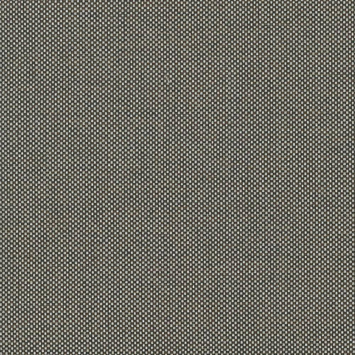 Bolsa Latte by Kasmir Fabric 5053 57% Cotton 43% Polyester TURKEY 87,000 Wyzenbeek Double Rubs H: N/A, V:N/A 55 - Fabric Carolina - Kasmir