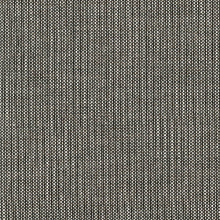Bolsa Latte by Kasmir Fabric 5053 57% Cotton
43% Polyester
 TURKEY </p><p>Repeat: Horizontal: N/A and Vertical: N/A 55 - Fabric Carolina -