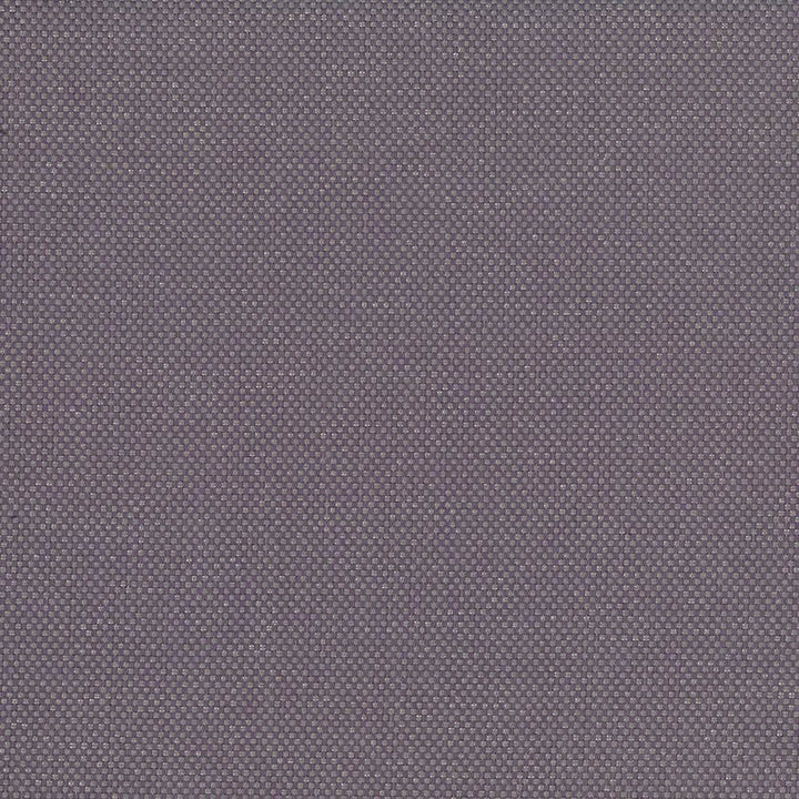 Bolsa Lilac  by Kasmir Fabric See sample 57% Cotton
43% Polyester
 TURKEY 87,000 Wyzenbeek Double Rubs </p><p>Repeat: Horizontal: N/A and Vertical: N/A 55  - Fabric Carolina -