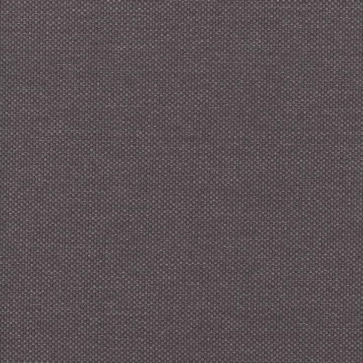 Bolsa Mauve by Kasmir Fabric 5053 57% Cotton
43% Polyester
 TURKEY </p><p>Repeat: Horizontal: N/A and Vertical: N/A 55 - Fabric Carolina -