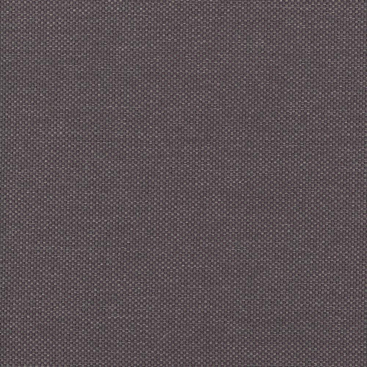 Bolsa Mauve by Kasmir Fabric 5053 57% Cotton 43% Polyester TURKEY 87,000 Wyzenbeek Double Rubs H: N/A, V:N/A 55 - Fabric Carolina - Kasmir