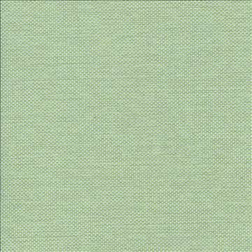 Bolsa Mint by Kasmir Fabric 5053 57% Cotton 43% Polyester TURKEY 87,000 Wyzenbeek Double Rubs H: N/A, V: N/A 55 - Fabric Carolina - Kasmir